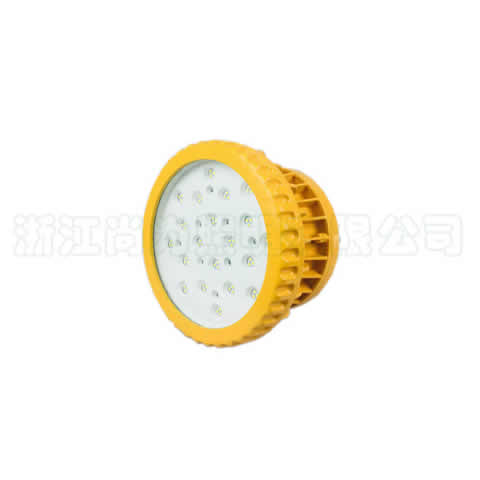 SZSW8160����LED������